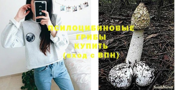 соль курить ск Богородицк