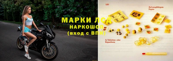дмт Богданович