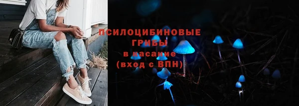 дмт Богданович