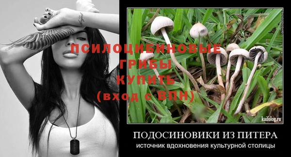 амф Белоозёрский
