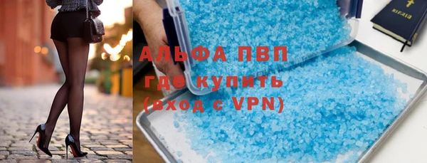 дмт Богданович