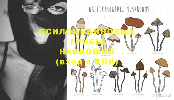 прущие крисы Богородск