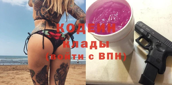 дмт Богданович